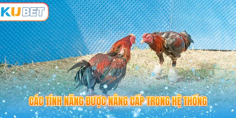 Các tính năng được nâng cấp trong hệ thống 