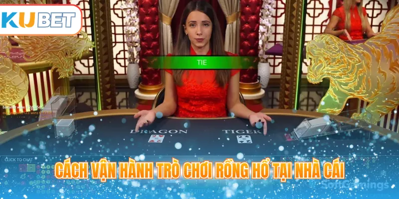 Cách vận hành trò chơi Rồng Hổ tại nhà cái