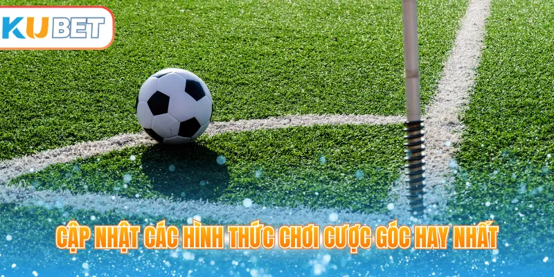 Cập nhật các hình thức chơi cược góc hay nhất