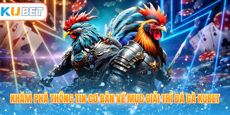 Khám phá thông tin cơ bản về mục giải trí đá gà Kubet