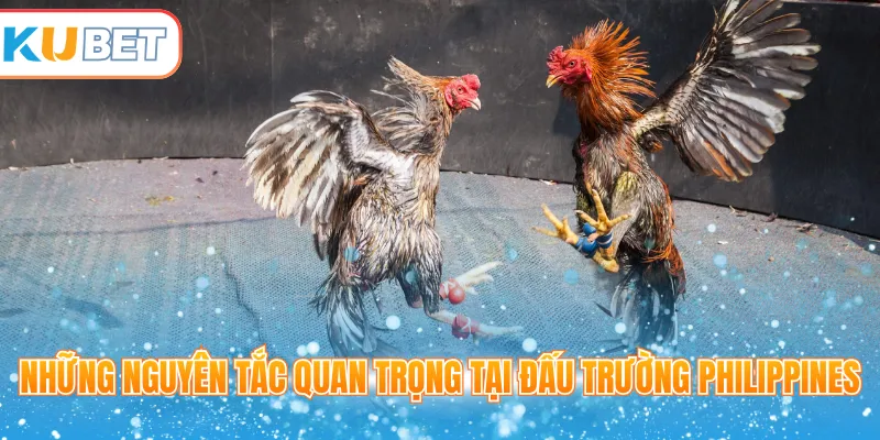 Những nguyên tắc quan trọng tại đấu trường Philippines 