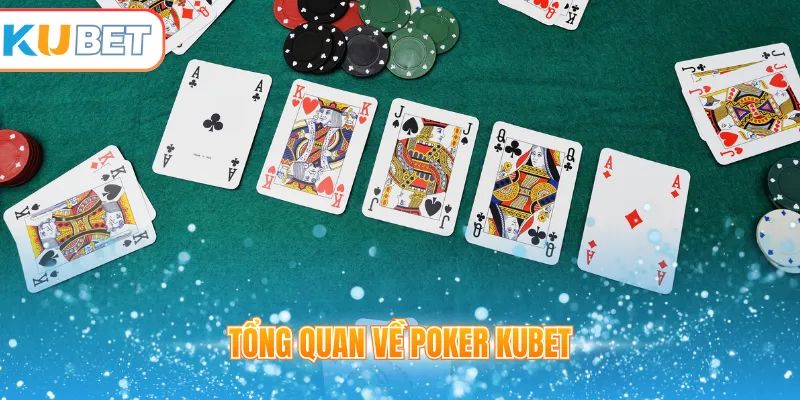 Tổng quan về poker Kubet